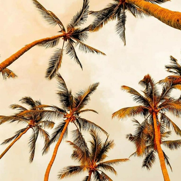 Meet your Posher, Ana - Picture 1 of 1